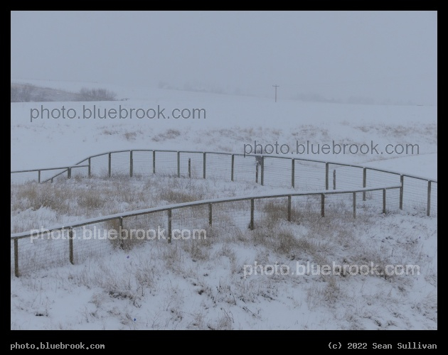 January Scene - Corvallis MT