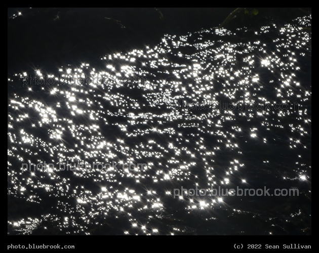 Sunlight Sparkle - Corvallis MT