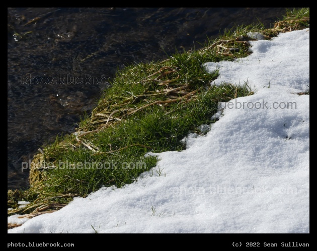 Winter Oasis - Corvallis MT