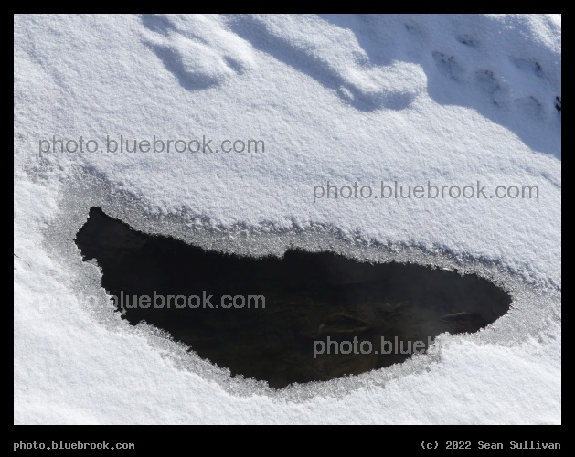 Opening to a Stream - Corvallis MT