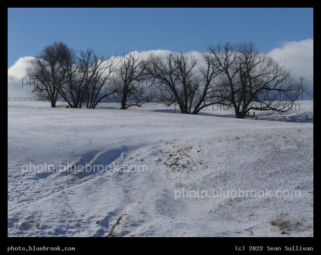 Snowy Pasture - Corvallis MT