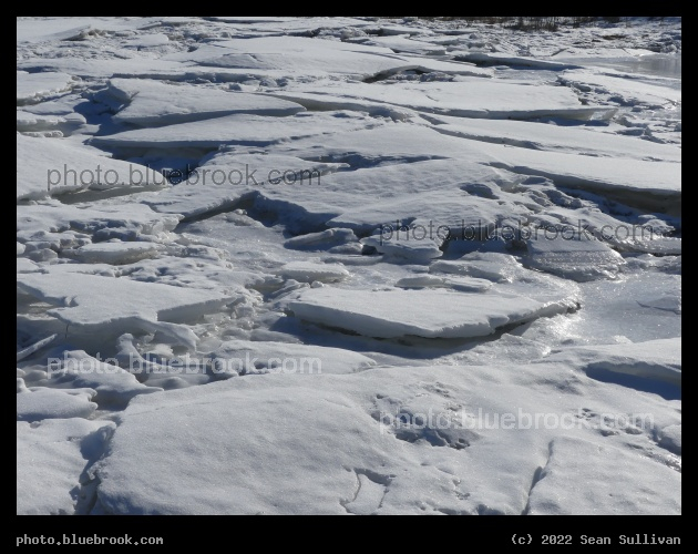 Frozen Slabs - Lolo MT