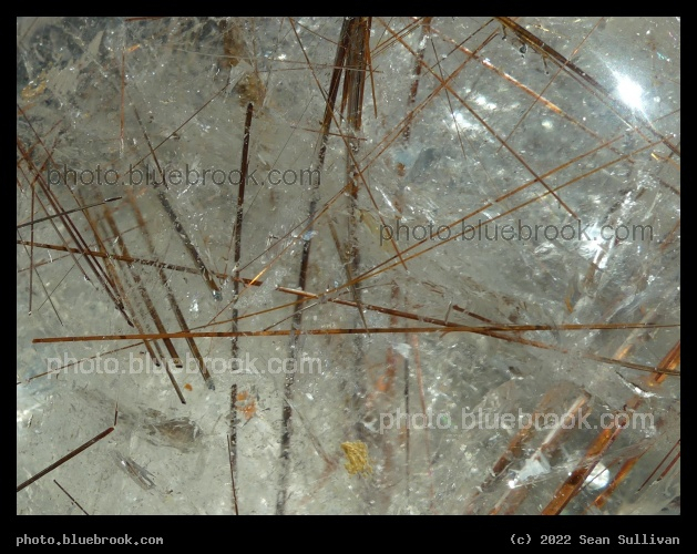 Shiny Rutilation - Corvallis MT