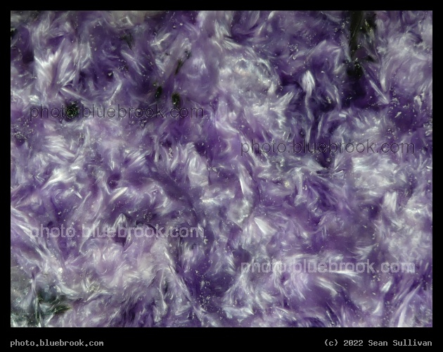 Feathery Charoite - Corvallis MT