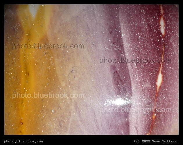 Mookaite Colors - Corvallis MT