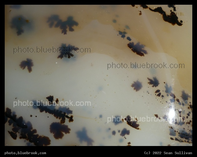 Plunging Dendritics - Corvallis MT