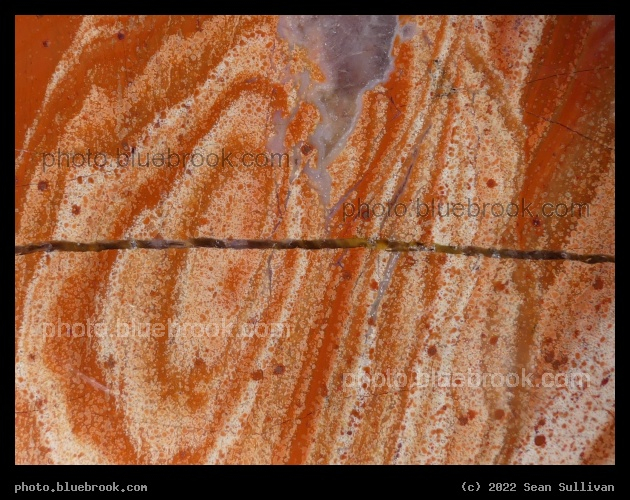 Red Jasper Patterns - Corvallis MT