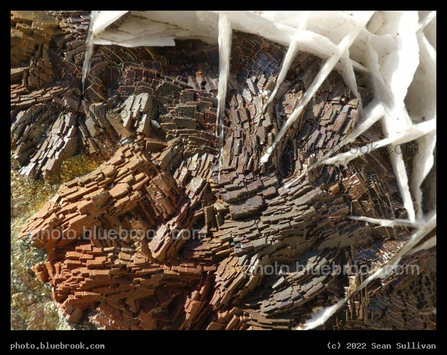 Complex Tiny World - Corvallis MT