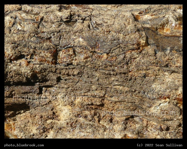 Raw Amber - Corvallis MT