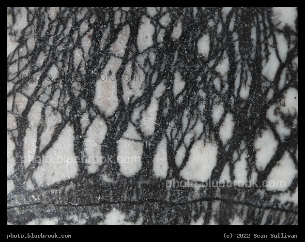 Net Jasper Detail - Corvallis MT