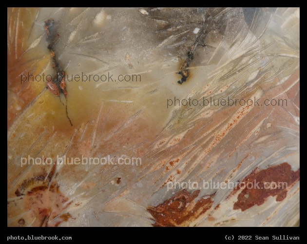 Feather Agate Detail - Corvallis MT