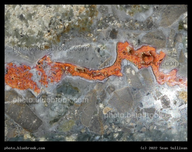 Orange River in Rock - Corvallis MT