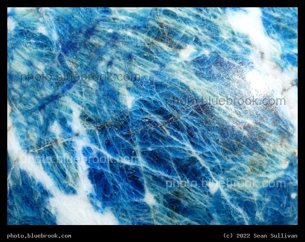 Bright Sodalite Detail - Corvallis MT