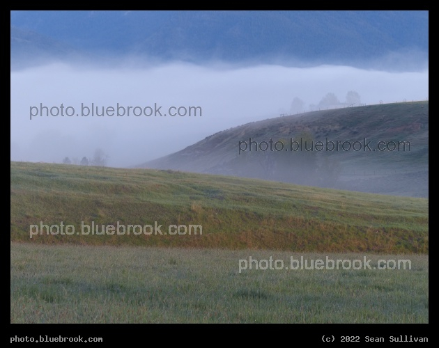 Morning Light, Morning Fog - Corvallis MT