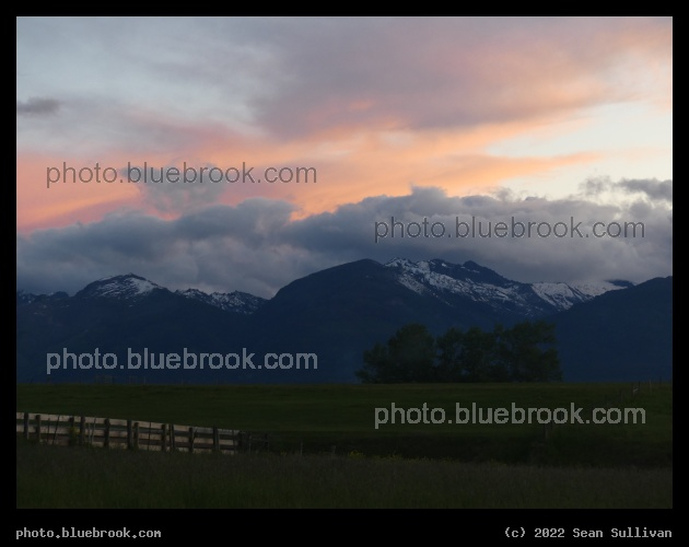 Colors of June - Corvallis MT