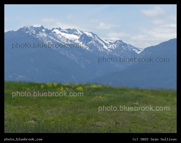 Snow in June - Corvallis MT
