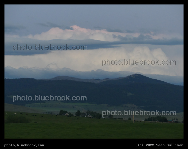 Summer Stripes - Corvallis MT