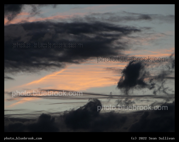 Gray and Pink Lines - Corvallis MT