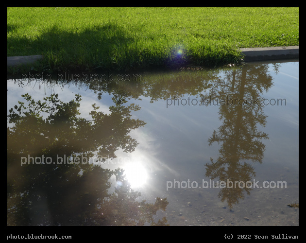 Reflections in a Parking Lot - Victor MT