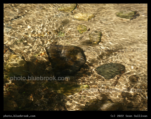 Stream in Rippling Light - Corvallis MT