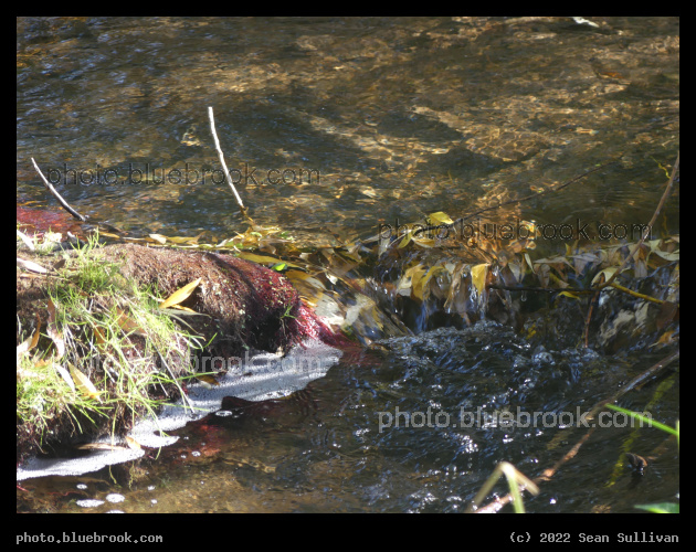 Tiny Autumn Waterfall - Corvallis MT