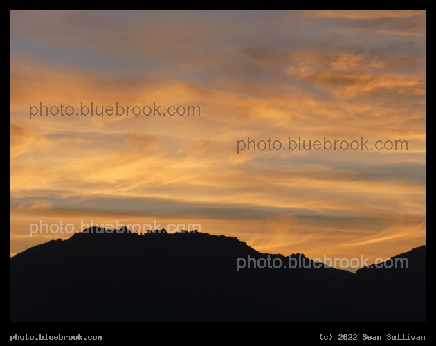 Glowing Peach Fluff - Corvallis MT