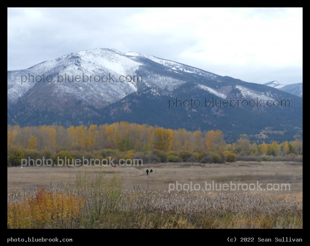 Skalkho Bend Walk - Skalkaho Bend Park, Hamilton MT