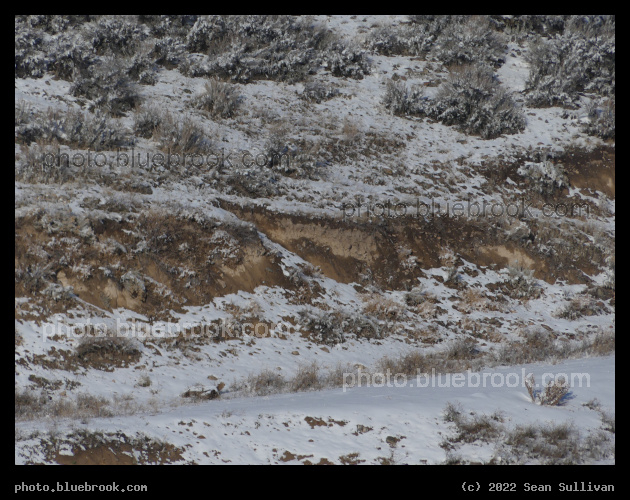 Winter Textures - Corvallis MT