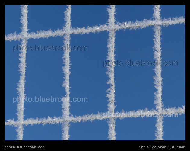 The Crystalline Grid - Corvallis MT