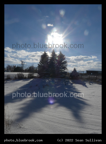 Spruce Shadows - Corvallis MT
