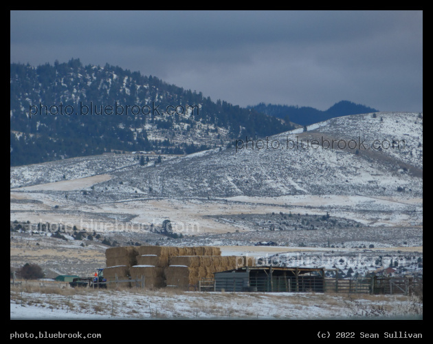 Dusted Landscape and Haystacks - Corvallis MT