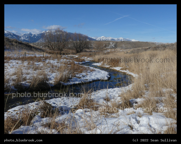 Stream on a Clear Winter Day - Corvallis MT