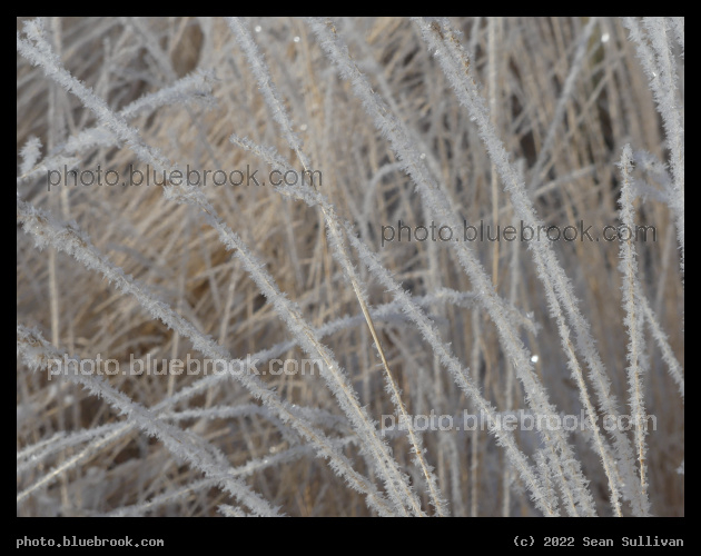 Hoarfrost Arcs - Corvallis MT
