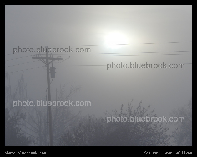 Wires in the January Mist - Corvallis MT