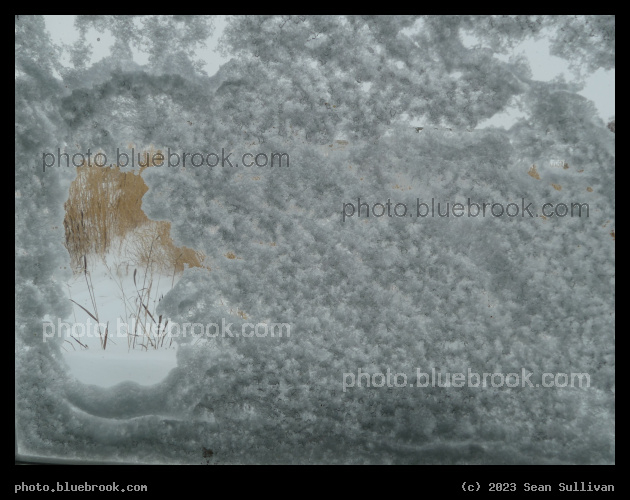 Through a Snowy Window - Corvallis MT