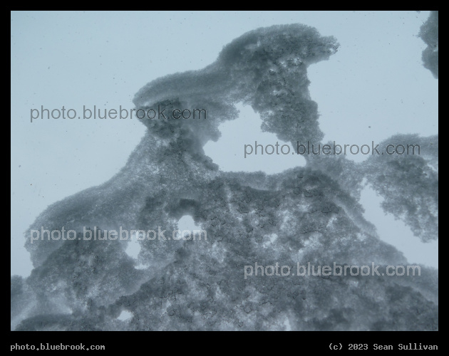 Pattern of Snow and Sky - Corvallis MT