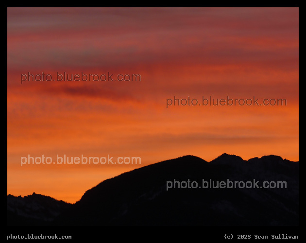 Tropical Punch Sky - Corvallis MT