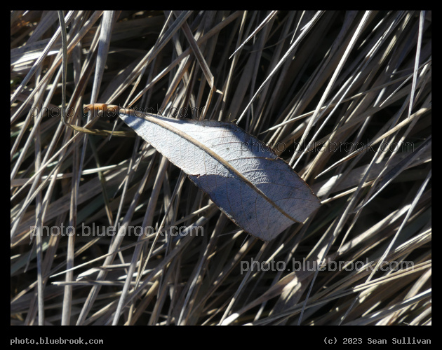 Simple Complexity - Corvallis MT