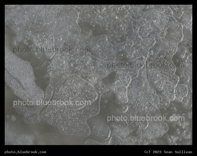 Patterns on the Ice - Corvallis MT