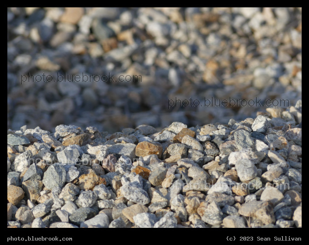 Gravel Ridge - Corvallis MT
