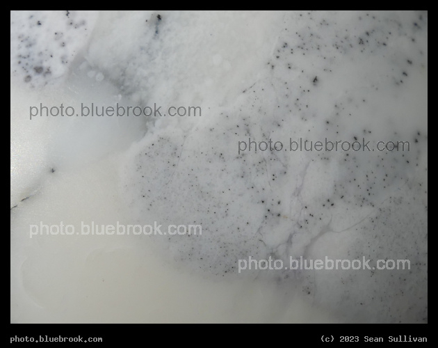 Speckles on a Dendritic Agate - Corvallis MT