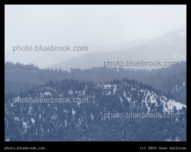 Layers in the Mist - Corvallis MT