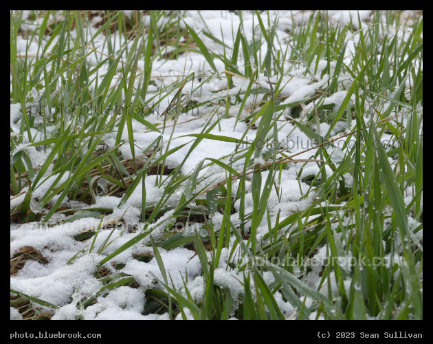 Meeting of the Seasons - Corvallis MT