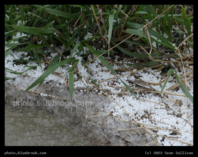 Melting Graupel - Corvallis MT