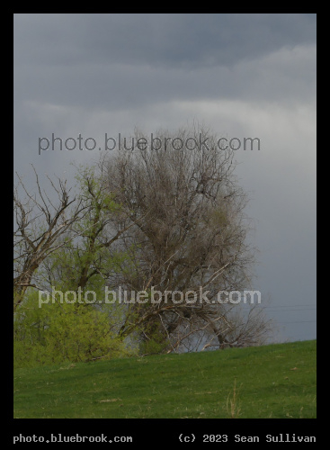 Building Storm - Corvallis MT