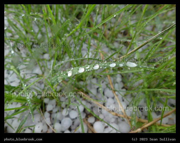 Water Wants to be Round - Corvallis MT