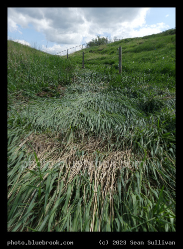 Water Wants Everything Else Flat - Corvallis MT