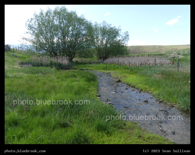 Quiet Srream - Corvallis MT