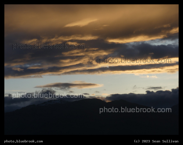 Peach Illumination - Corvallis MT