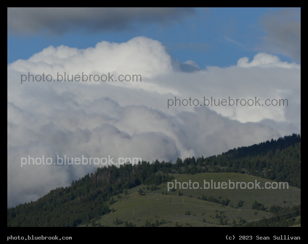 Fluffy Landscape - Corvallis MT